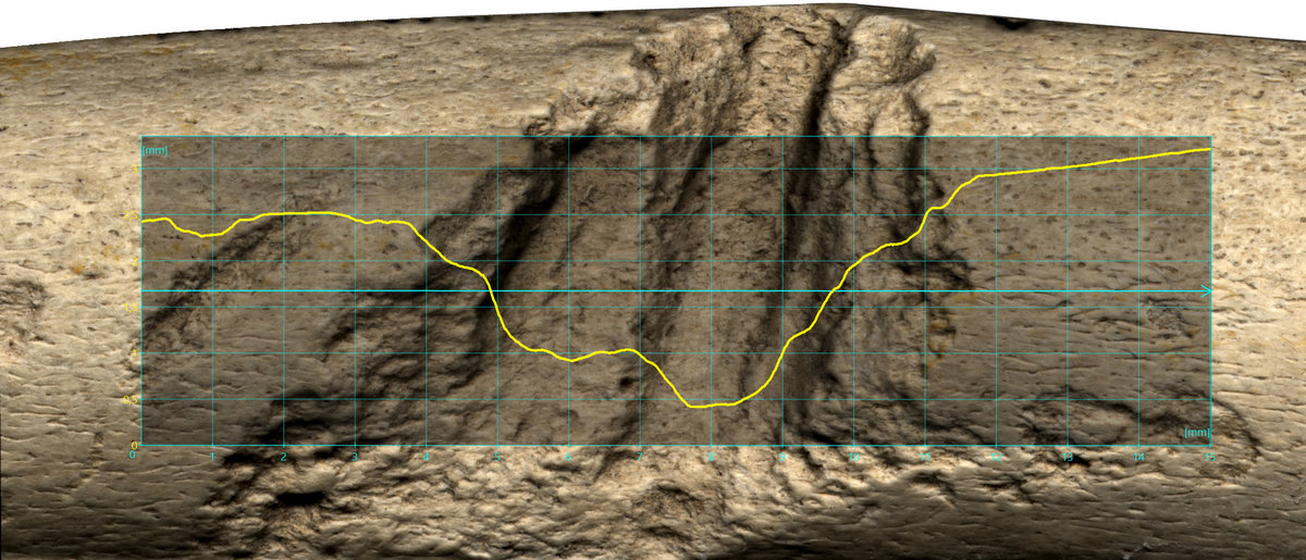 Bone fragment - visualized 3D profile image