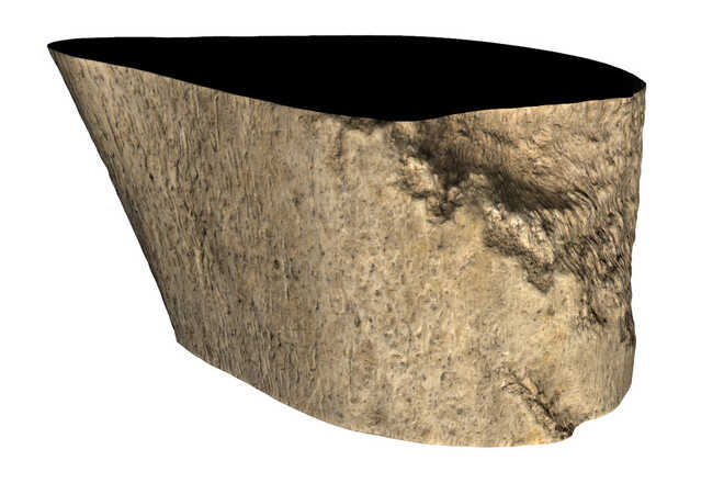 Rotary scan of a bone fragment image