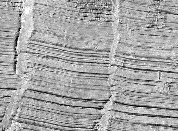 Detail of toolmarks on the surface of the cylinder lock. Scanned area: 18 x 14 mm. Scan time: 1:18 min. File size: 136 MB image