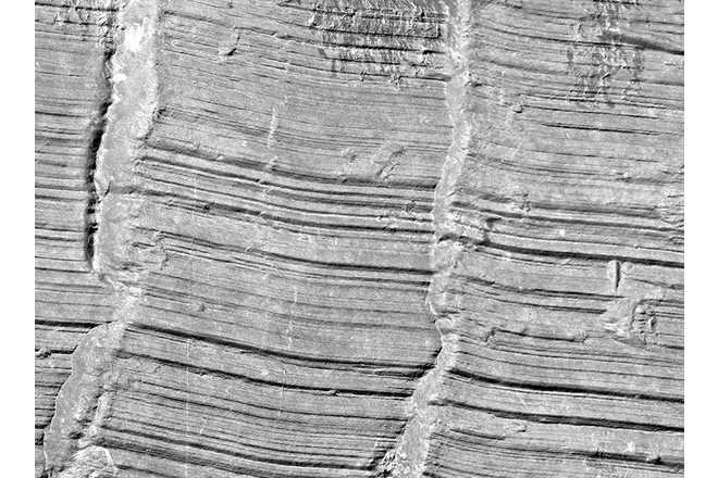 Detail of toolmarks on the surface of the cylinder lock. Scanned area: 18 x 14 mm. Scan time: 1:18 min. File size: 136 MB image