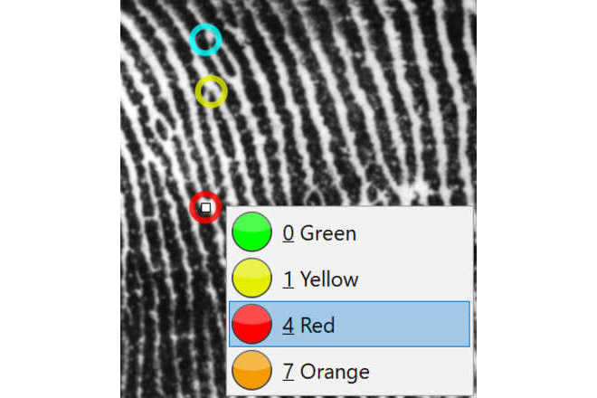 GYRO coloring. image