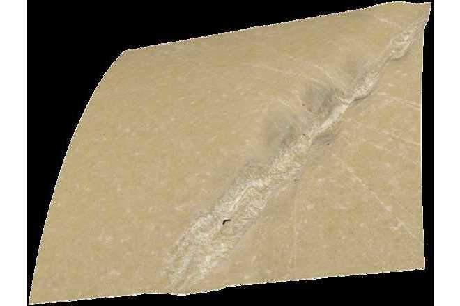 3D image of a bone showing detailed tool marks. Color camera. image