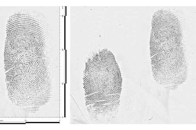 Detail of the same fingerprint processed with LUCIA Forensic software. image