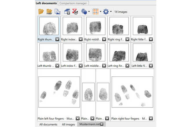 NIST file opened in the software. image