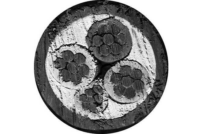 2D image of cut cable. image