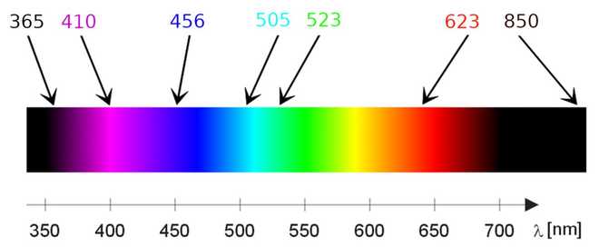 Available wavelengths image